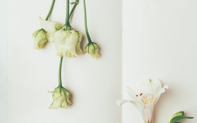 Famous Poems About Loss